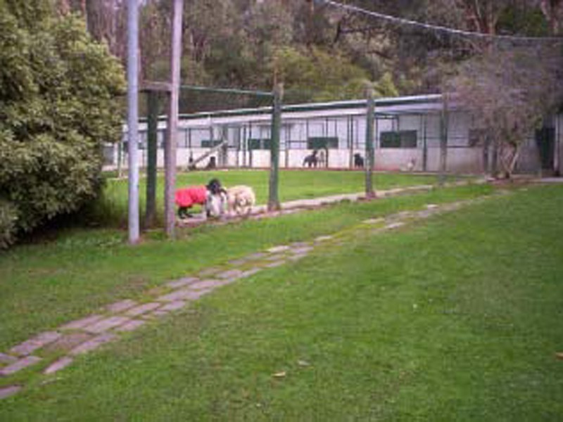 2223 Melba H’way, Dixons Creek, Yarra Glen VIC 3775