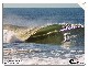Coolangatta QLD 4225