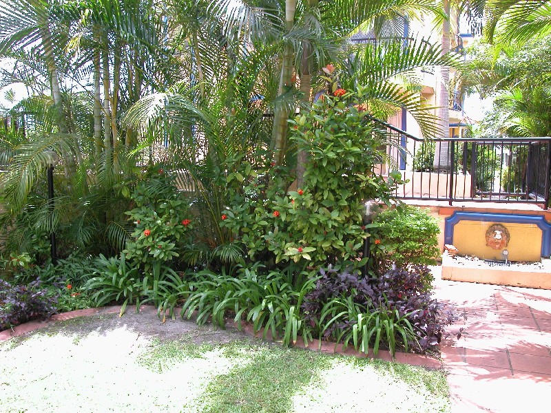 Coolangatta QLD 4225