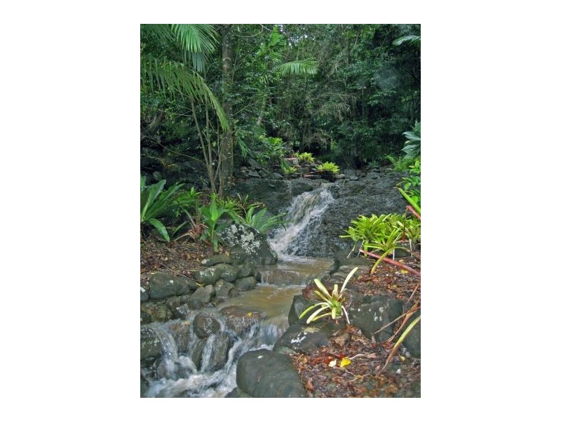 342 Petsch Creek Road, Tallebudgera Valley QLD 4228