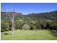 342 Petsch Creek Road, Tallebudgera Valley QLD 4228