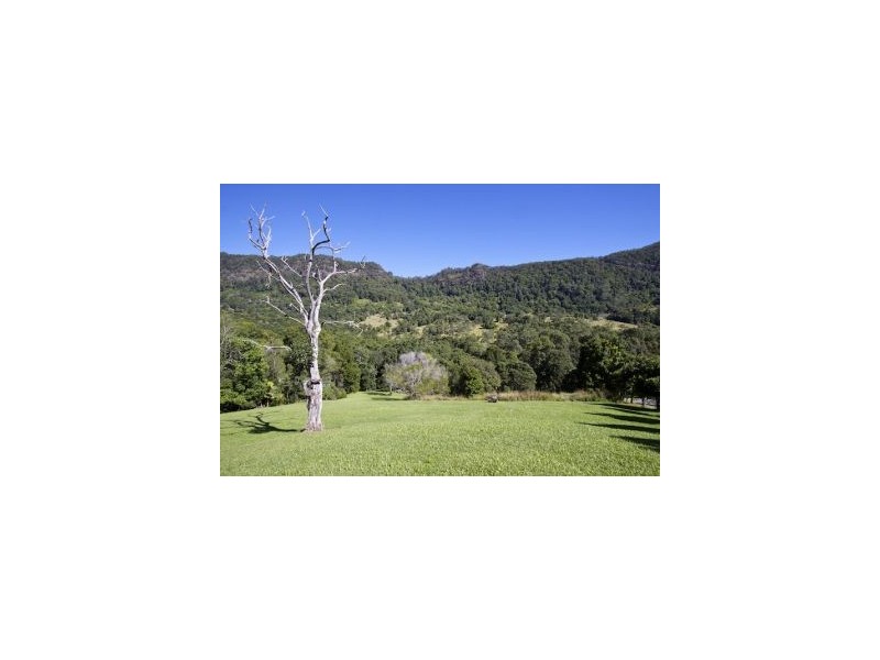 342 Petsch Creek Road, Tallebudgera Valley QLD 4228