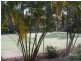 Palm Beach QLD 4221