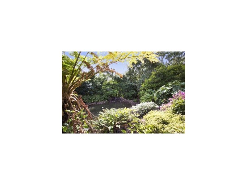 356 Petsch Creek Road, Tallebudgera Valley QLD 4228