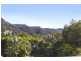 356 Petsch Creek Road, Tallebudgera Valley QLD 4228