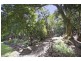 356 Petsch Creek Road, Tallebudgera Valley QLD 4228