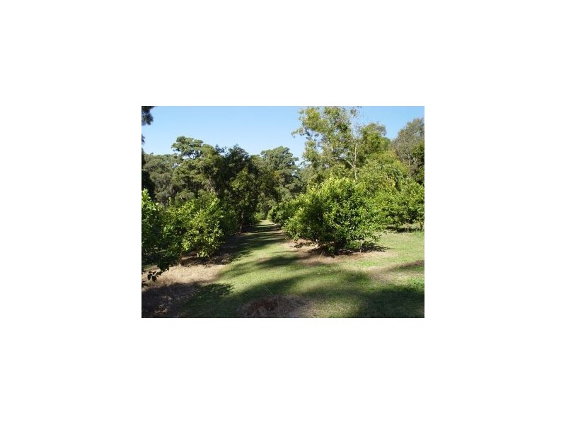 Springbrook QLD 4213