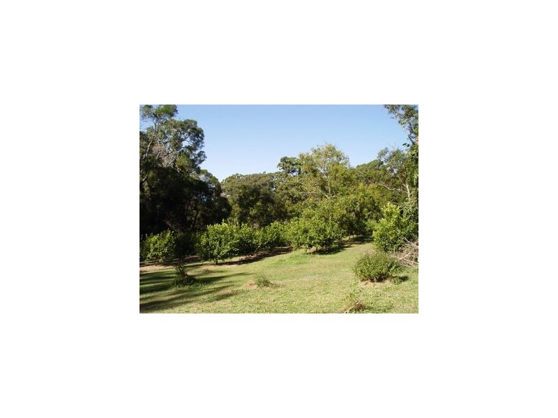 Springbrook QLD 4213