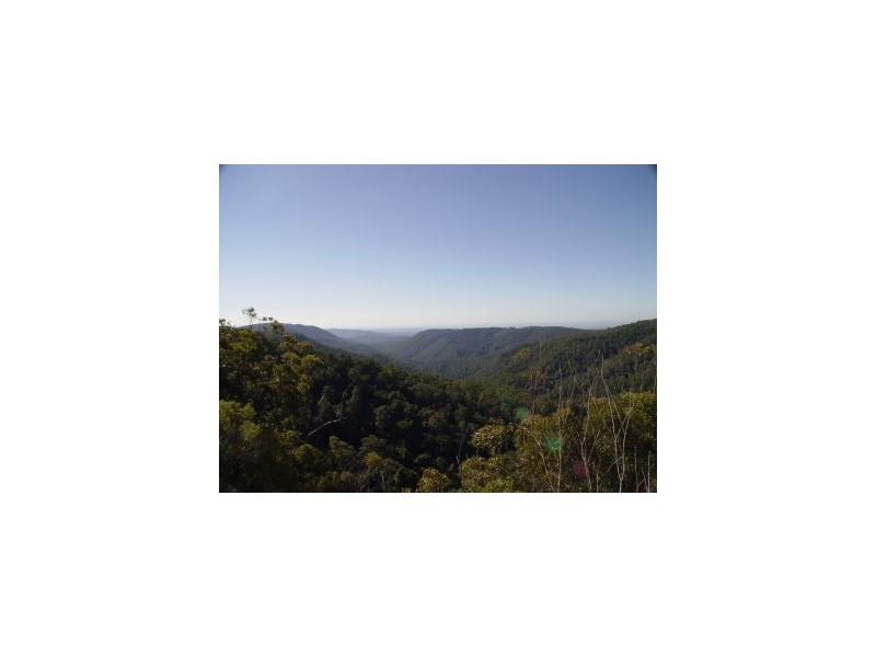 Springbrook QLD 4213