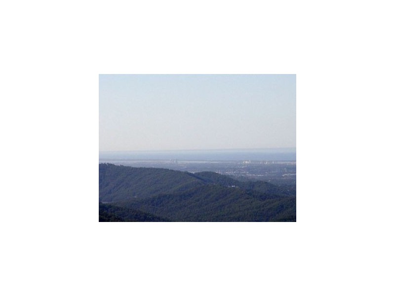 Springbrook QLD 4213