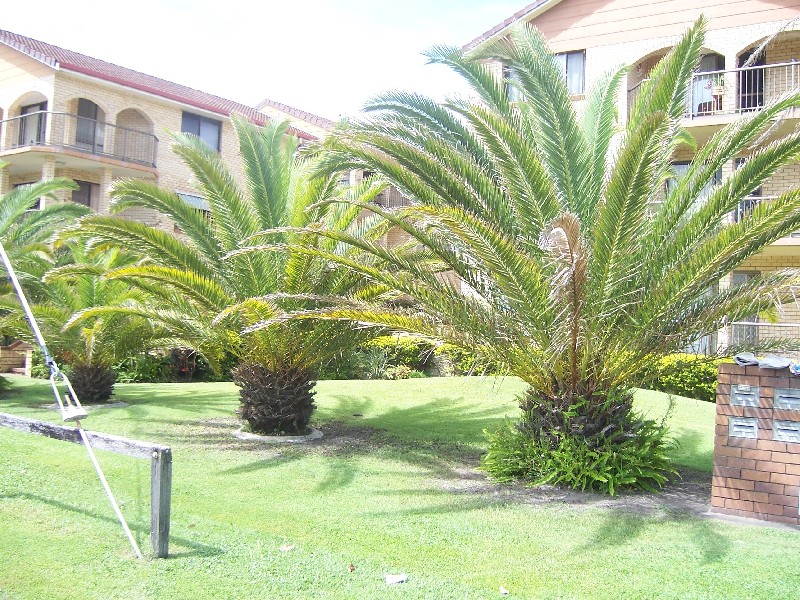 Coolangatta QLD 4225