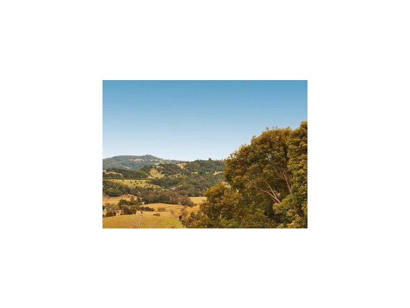 24 Vail Court, Bilambil Heights NSW 2486