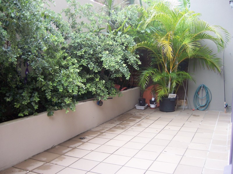 Coolangatta QLD 4225