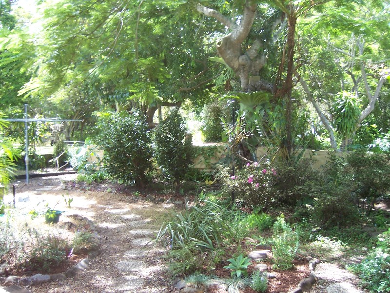 49 Coolangatta Road, Kirra QLD 4225