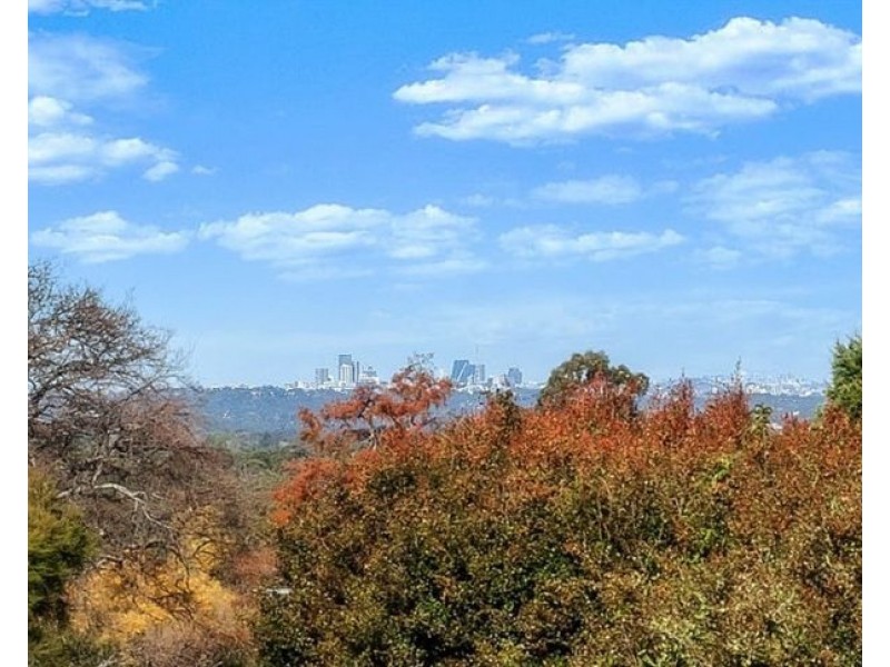 2B Thornleigh Street, Thornleigh NSW 2120