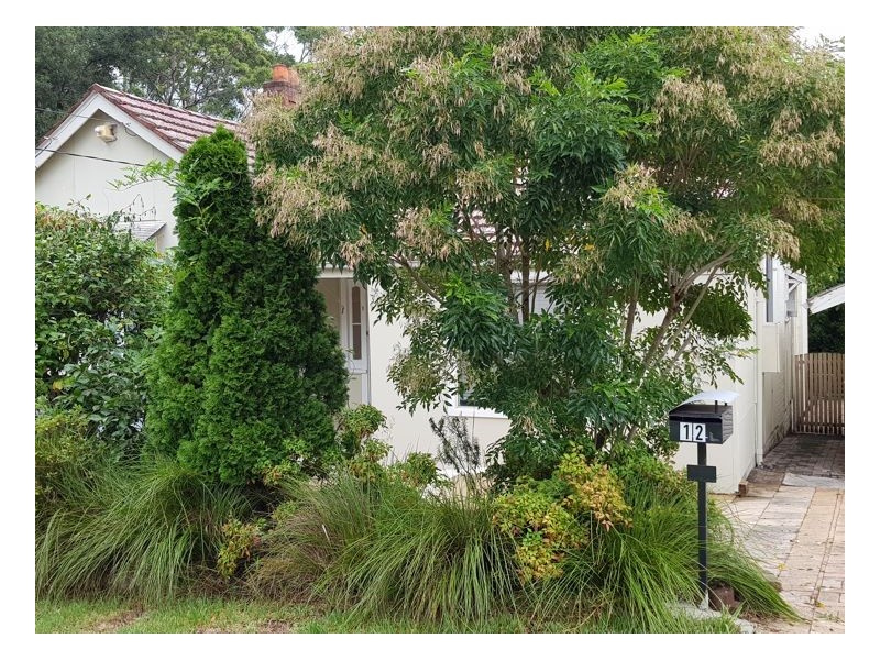 1/12 Paling St, Thornleigh NSW 2120