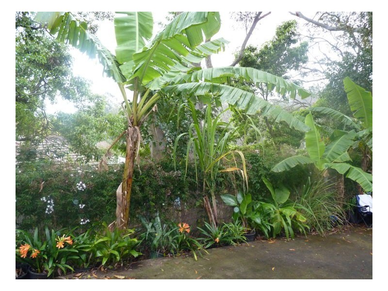 1/22 Wells Street, Thornleigh NSW 2120