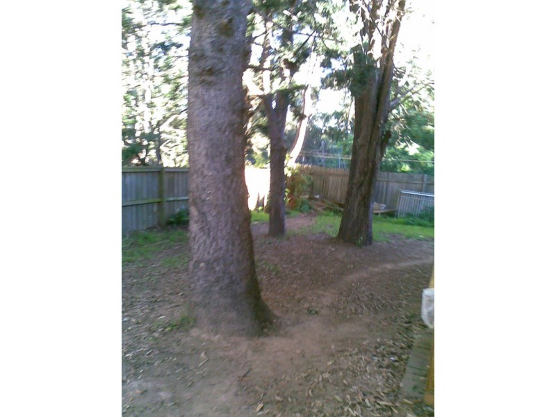 2/12 Paling Street, Thornleigh NSW 2120