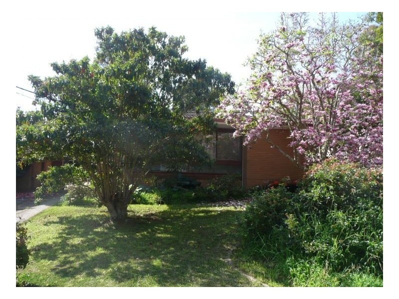 12 Roach Avenue, Thornleigh NSW 2120