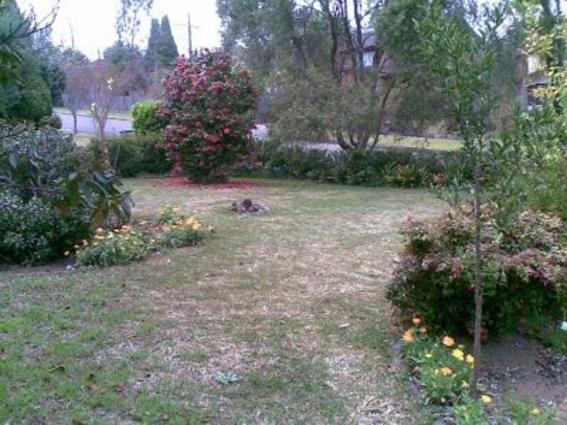 12 Roach Avenue, Thornleigh NSW 2120