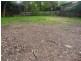 Thornleigh NSW 2120