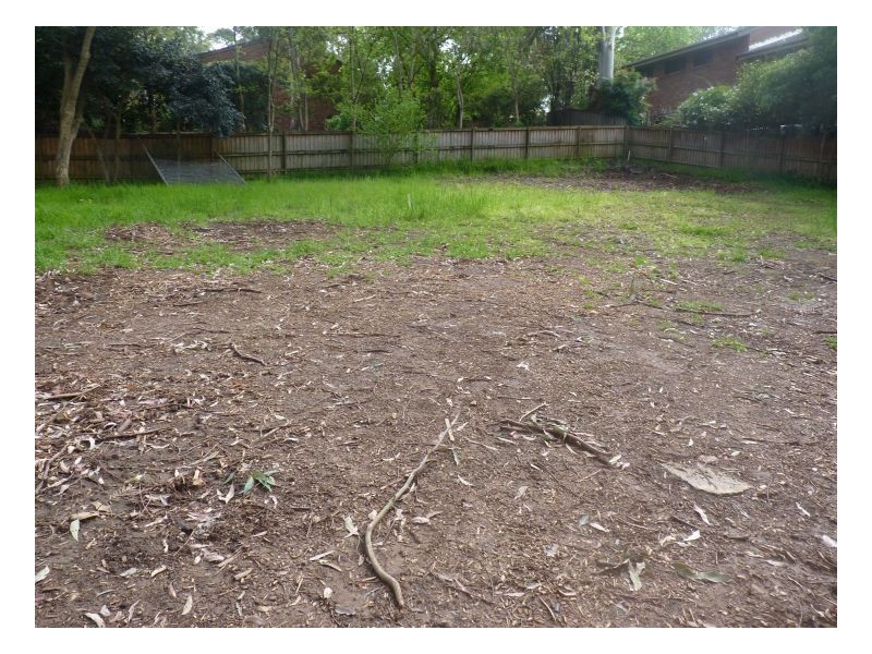Thornleigh NSW 2120