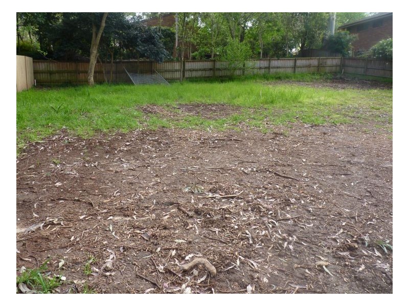 Thornleigh NSW 2120