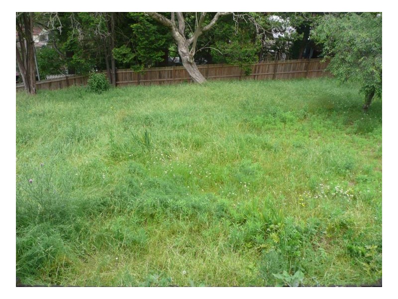 10 Trelawney St, Thornleigh NSW 2120