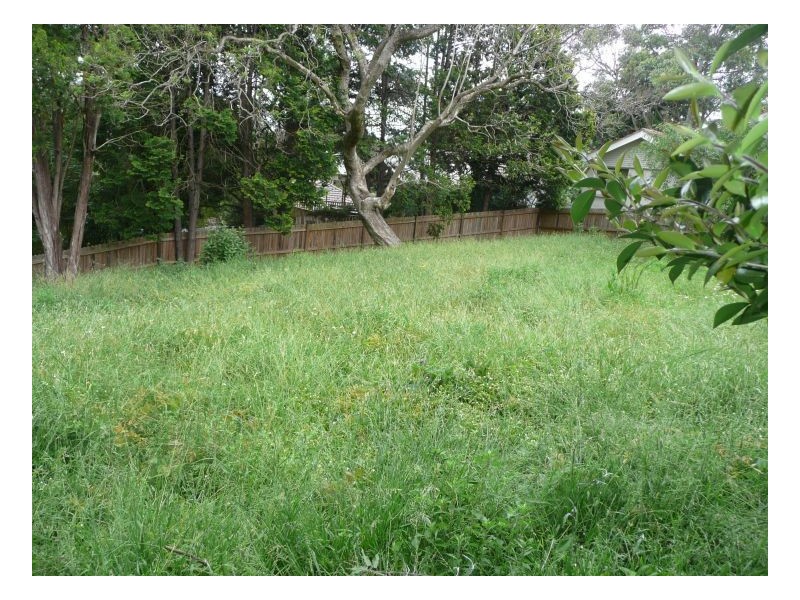 10 Trelawney St, Thornleigh NSW 2120