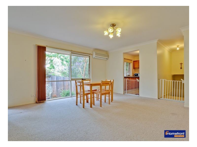 19b Nicholson Ave, Thornleigh NSW 2120