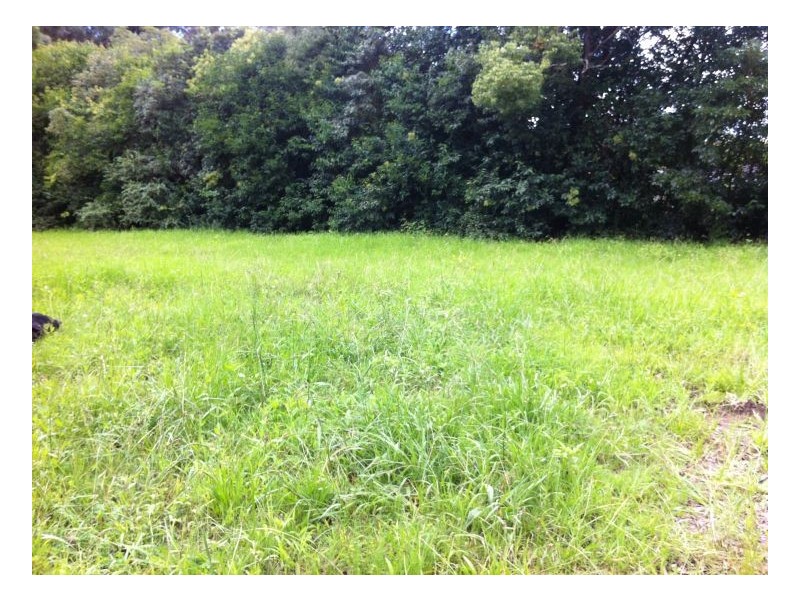 365 Galston Rd, Galston NSW 2159