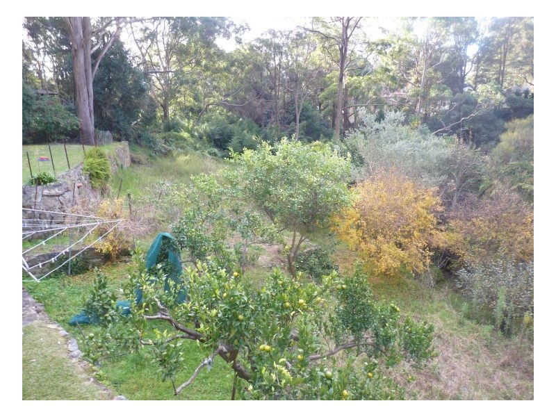 18 Sefton Rd, Thornleigh NSW 2120