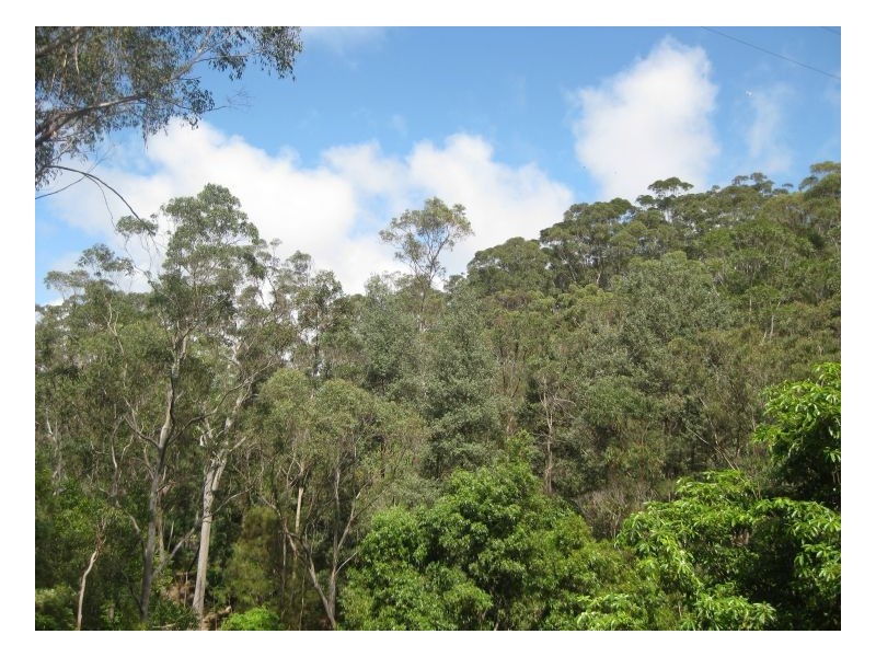 28A Vale Road, Thornleigh NSW 2120