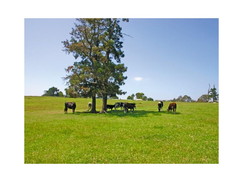 955 Silverdale Road, Werombi NSW 2570