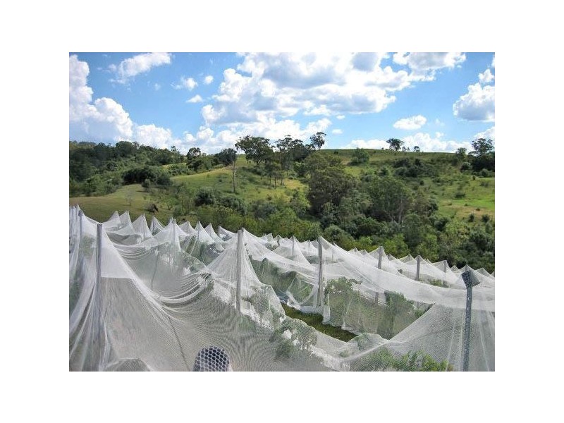 Mount Hunter NSW 2570