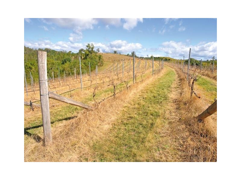 Mount Hunter NSW 2570