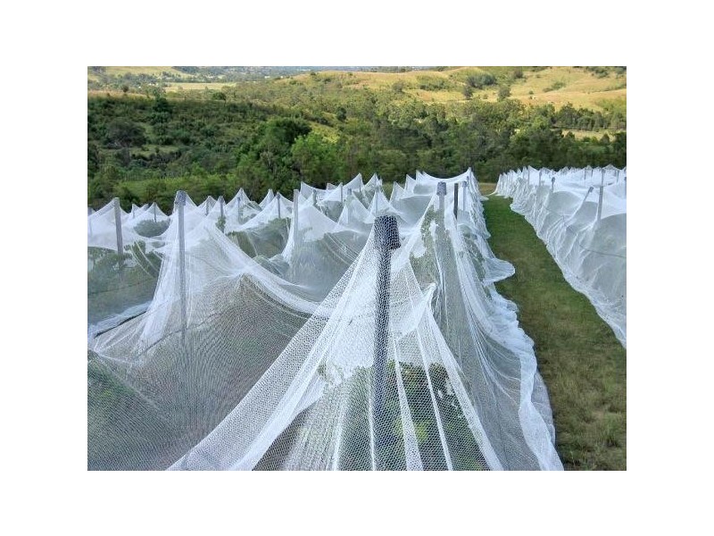 Mount Hunter NSW 2570