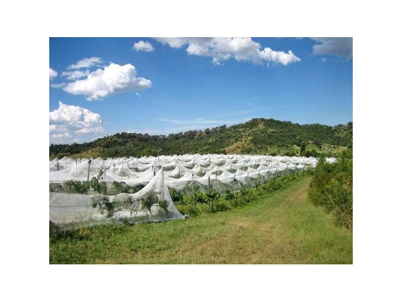 Mount Hunter NSW 2570