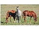 Denman NSW 2328