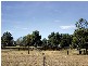 Denman NSW 2328