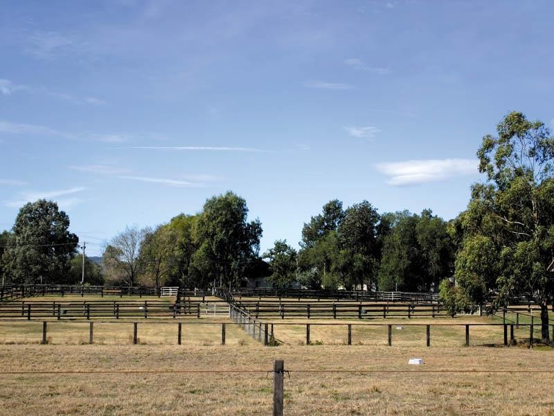 Denman NSW 2328