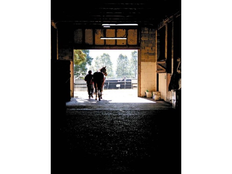 Denman NSW 2328