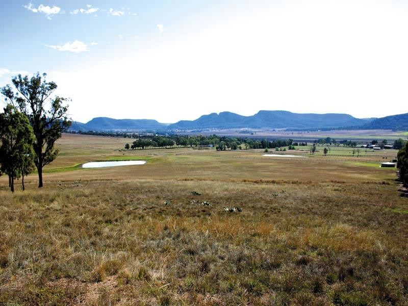 Denman NSW 2328