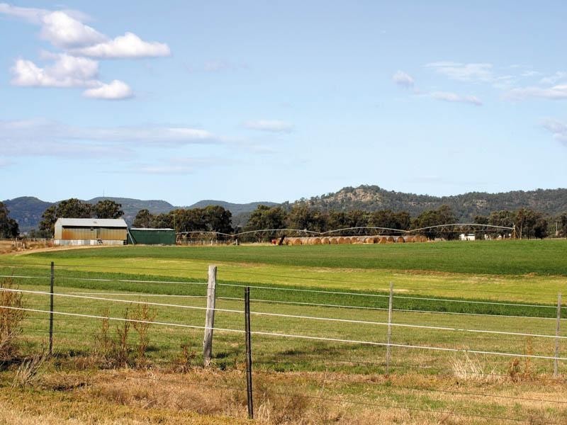 Denman NSW 2328