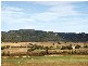Denman NSW 2328