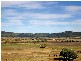 Denman NSW 2328