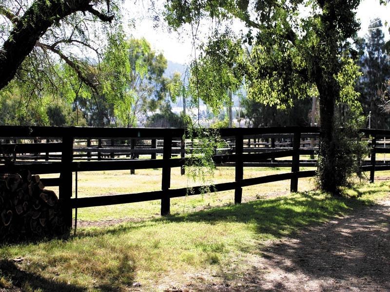 Denman NSW 2328