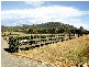Denman NSW 2328