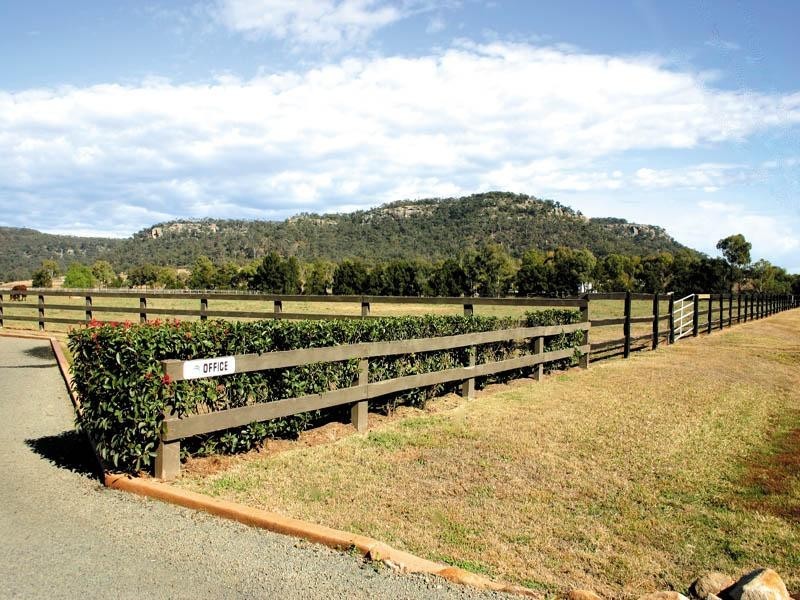Denman NSW 2328
