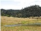 Denman NSW 2328